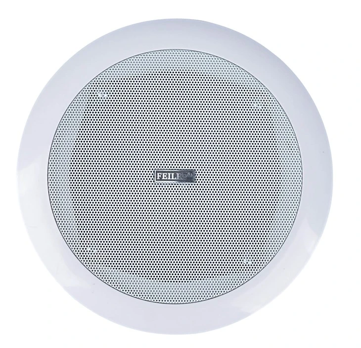 Conference In ceiling in wall speakers (2)