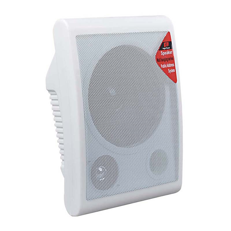 Wall Hung Speakers